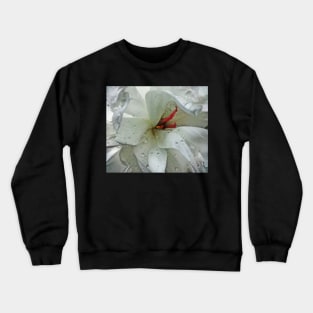 "After the Rain" Crewneck Sweatshirt